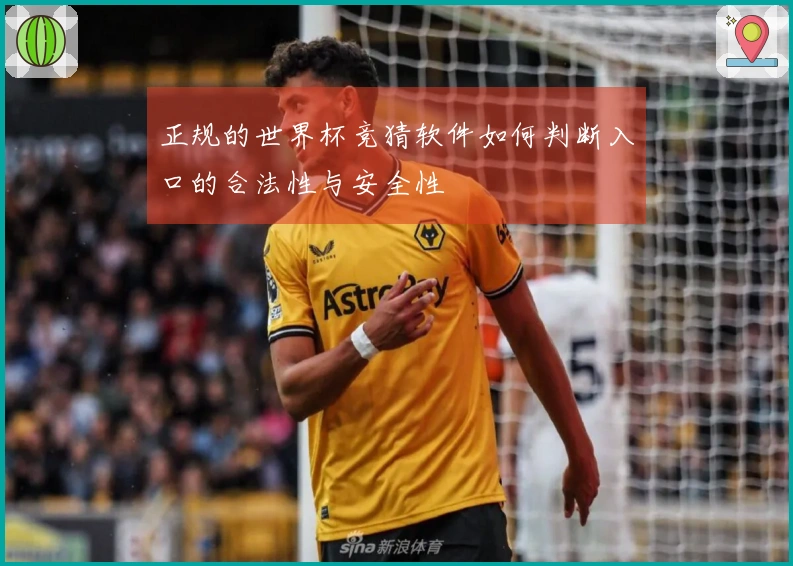 正规的世界杯竞猜软件如何判断入口的合法性与安全性