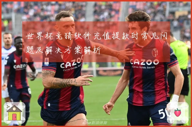世界杯竞猜软件充值提款时常见问题及解决方案解析