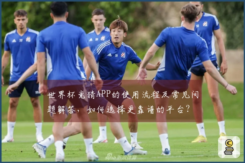世界杯竞猜APP的使用流程及常见问题解答，如何选择更靠谱的平台？
