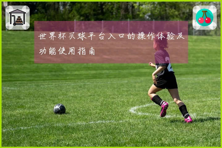 世界杯买球平台入口的操作体验及功能使用指南