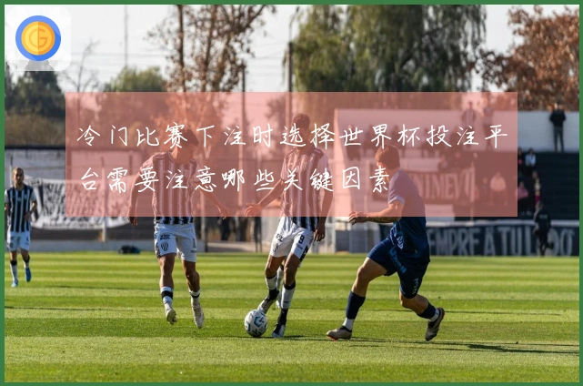 冷门比赛下注时选择世界杯投注平台需要注意哪些关键因素