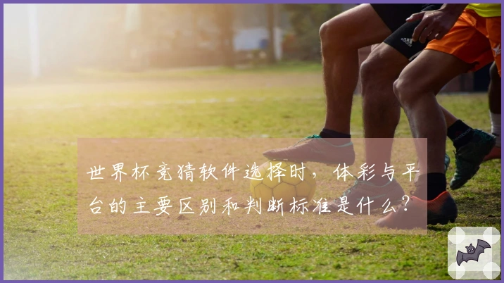 世界杯竞猜软件选择时，体彩与平台的主要区别和判断标准是什么？