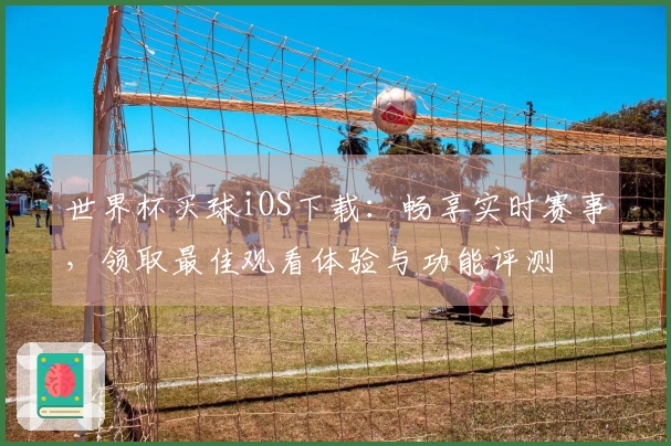 世界杯买球iOS下载：畅享实时赛事，领取最佳观看体验与功能评测