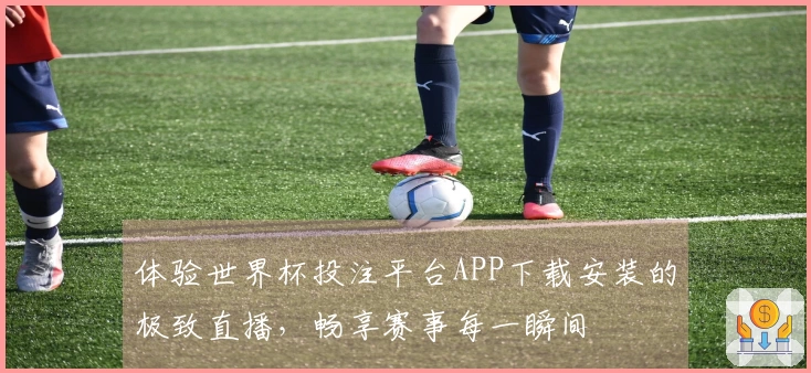 体验世界杯投注平台APP下载安装的极致直播，畅享赛事每一瞬间
