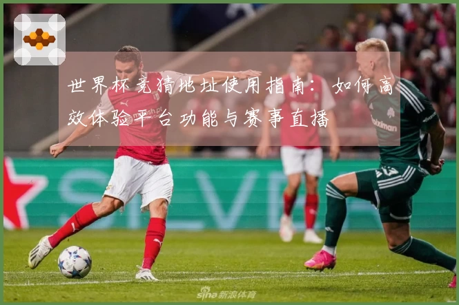 世界杯竞猜地址使用指南：如何高效体验平台功能与赛事直播