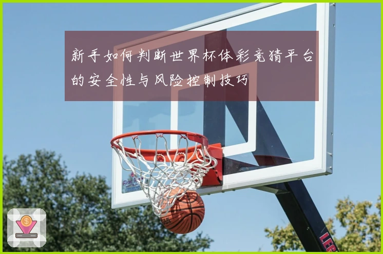 新手如何判断世界杯体彩竞猜平台的安全性与风险控制技巧