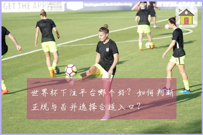 世界杯下注平台哪个好？如何判断正规与否并选择合适入口？