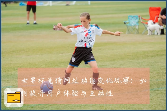 世界杯竞猜网址功能变化观察：如何提升用户体验与互动性