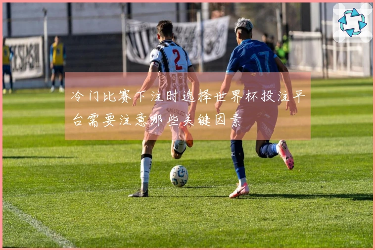 冷门比赛下注时选择世界杯投注平台需要注意哪些关键因素