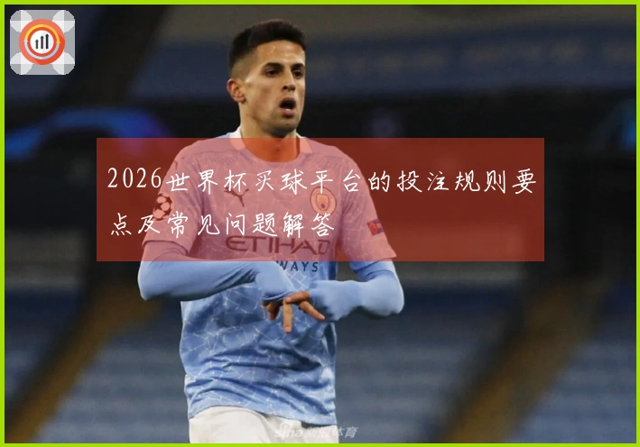 2026世界杯买球平台的投注规则要点及常见问题解答