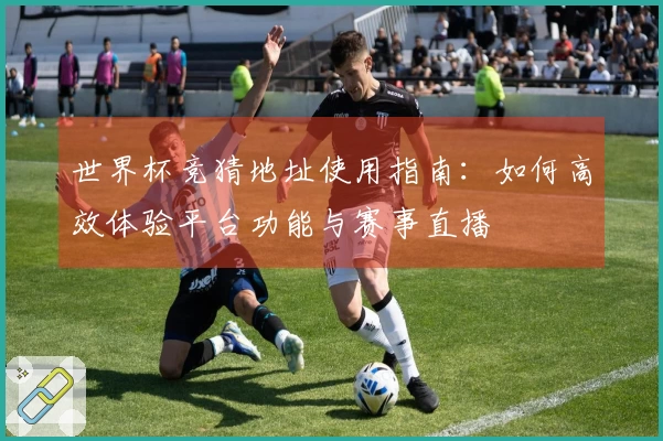 世界杯竞猜地址使用指南：如何高效体验平台功能与赛事直播