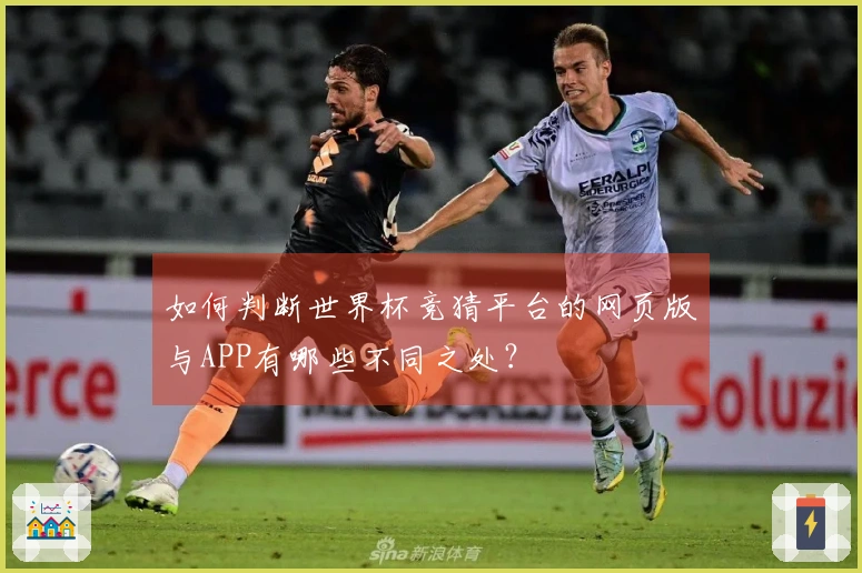 如何判断世界杯竞猜平台的网页版与APP有哪些不同之处？