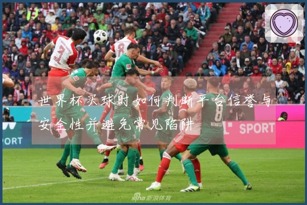 世界杯买球时如何判断平台信誉与安全性并避免常见陷阱