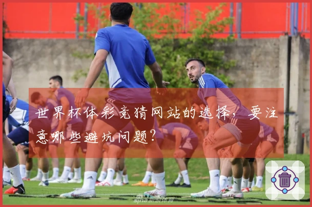 世界杯体彩竞猜网站的选择，要注意哪些避坑问题？