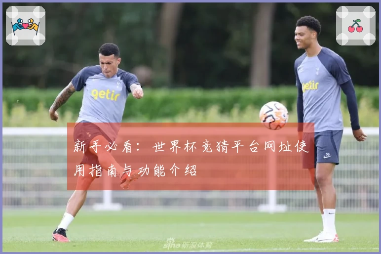 新手必看：世界杯竞猜平台网址使用指南与功能介绍