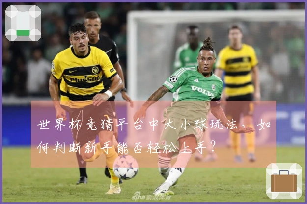 世界杯竞猜平台中大小球玩法，如何判断新手能否轻松上手？