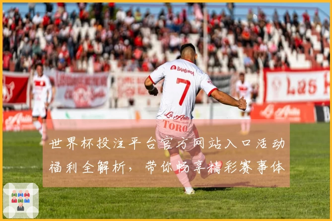 世界杯投注平台官方网站入口活动福利全解析，带你畅享精彩赛事体验