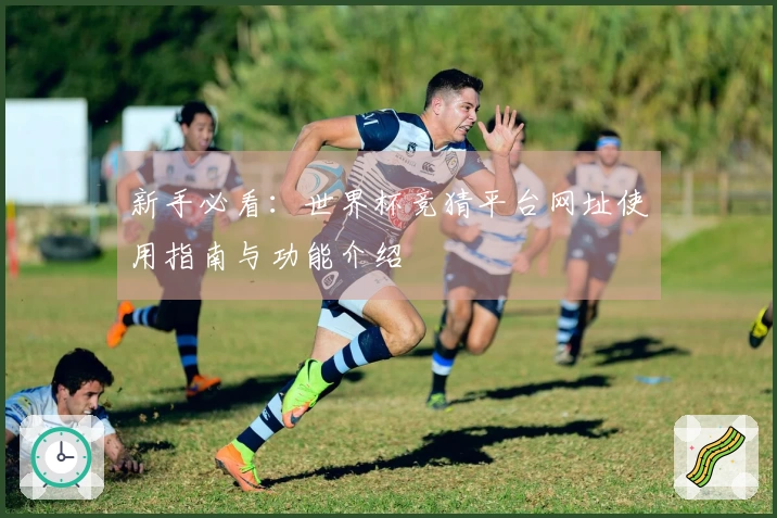 新手必看：世界杯竞猜平台网址使用指南与功能介绍