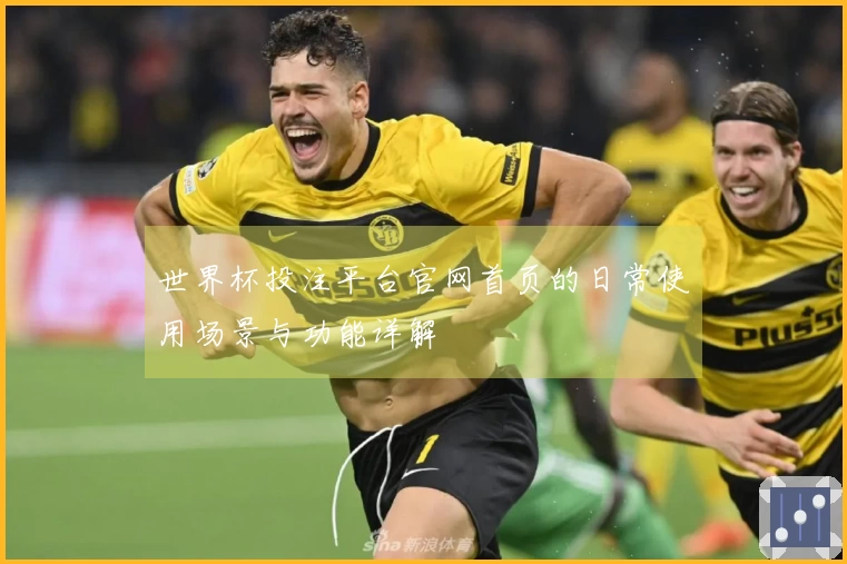 世界杯投注平台官网首页的日常使用场景与功能详解