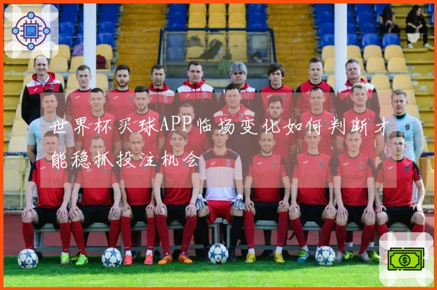 世界杯买球APP临场变化如何判断才能稳抓投注机会
